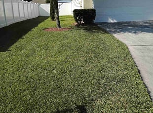 Donna H.'s Grass Cutting service result