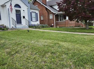 Elaine R.'s Lawn Care service result