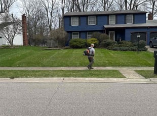 Martin H.'s Grass Cutting service result