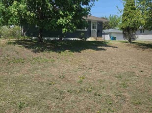 Leaf Removal by John Plamann for Said A. in Minneapolis, MN
