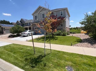 Maggie G.'s Lawn Service service result