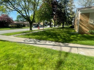 Omar G.'s Lawn Mowing service result