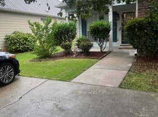 Terri H.'s Lawn Service service result