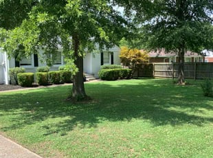 Kathleen S.'s Yard Cutting service result