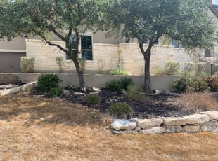 Bush Trimming by Noe Perez for Brandon E. in San Antonio, TX