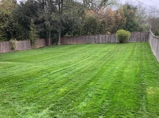 Akeem F.'s Lawn Maintenance service result