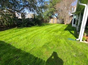Frank O.'s Lawn Care service result