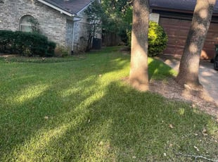 Walter C.'s Lawn Maintenance service result