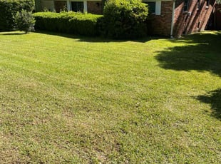 Randi S.'s Lawn Care service result