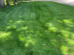 Cleanups by Michael King for Jim K. in Brunswick, OH