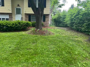 Karen H.'s Lawn Mowing Service service result