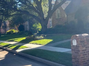 James M.'s Lawn Mowing service result