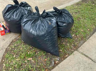 Leaf Removal by Jonathon Holland for Sylvia P. in Cypress, TX