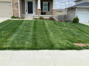 Anthony C.'s Grass Cutting service result