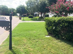Chris T.'s Lawn Care service result