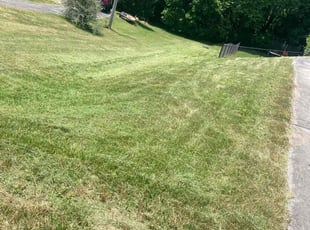 Clarise S.'s Lawn Mowing Service service result