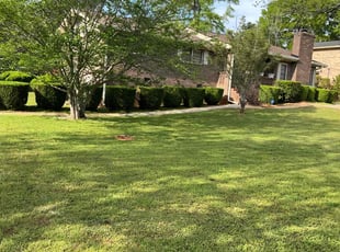 Bush Trimming by Na'im Eggleston for Edward B. in Covington, GA