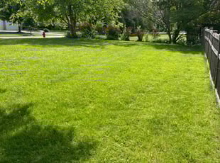 Dave W.'s Lawn Mowing Service service result