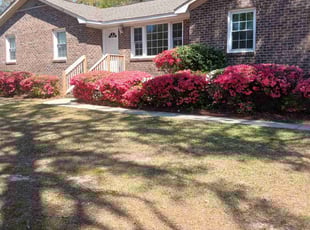 Bush Trimming by Ryan Landrigan for Nathan E. in Irmo, SC