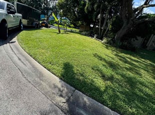 Joan B.'s Lawn Maintenance service result