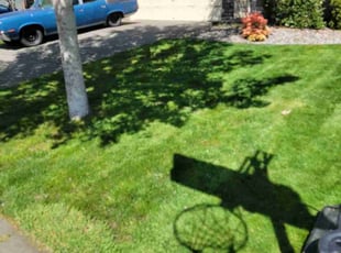 Darren H.'s Lawn Mowing Service service result