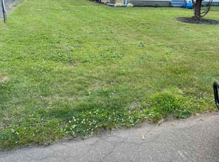 Adel E.'s Lawn Care service result