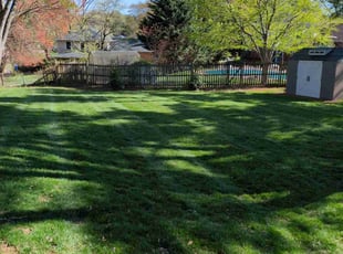 Danielle H.'s Lawn Service service result