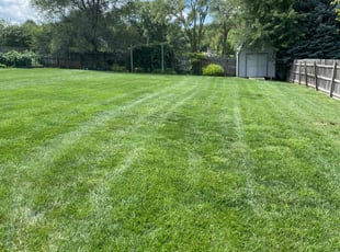 Mary Q.'s Grass Cutting service result