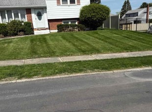 James J.'s Grass Cutting service result