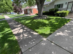 Michael C.'s Lawn Mowing service result