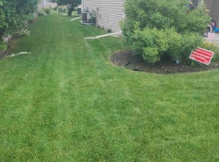 Shashank G.'s Lawn Maintenance service result