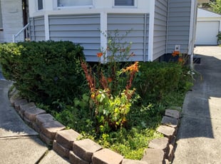 Bush Trimming by Anthony Coleman for Jasmine H. in Cleveland, OH