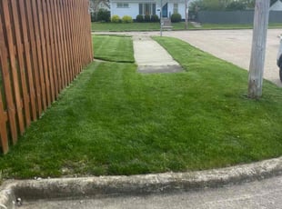 Vanessa B.'s Yard Cutting service result