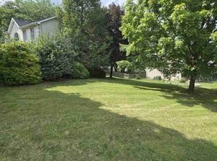 Jeffrey S.'s Lawn Care service result