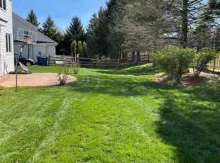 Kristen L.'s Lawn Mowing Service service result