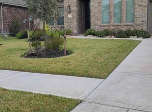 Joe A.'s Yard Cutting service result