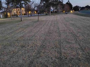 Hope G.'s Lawn Mowing service result