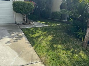 Meghan V.'s Grass Cutting service result