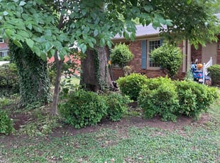 Cleanups by Bri Foster for Tatiana M. in Charlotte, NC