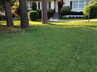 Leah H.'s Lawn Mowing Service service result