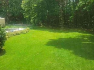 Gant R.'s Lawn Mowing service result