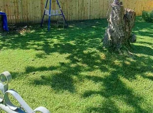 Rusty S.'s Lawn Maintenance service result