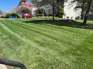 Richard R.'s Lawn Mowing service result