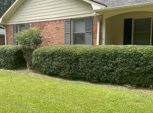 Sandy W.'s Lawn Mowing service result