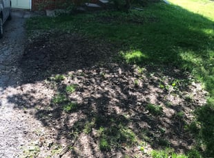 Leaf Removal by Julio Almestica for Lindsay F. in Lee's Summit, MO