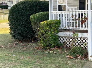 Bush Trimming by D Mitchell for Kara H. in Chesterfield, VA