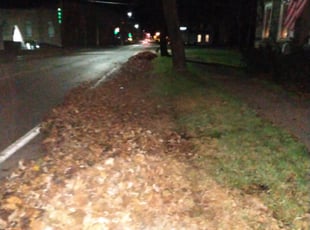 Cleanups by Abraham Maher for Diana M. in Minoa, NY
