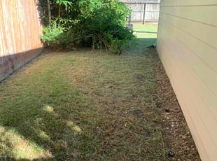 Bush Trimming by Dulce Aguirre for Sara S. in Houston, TX