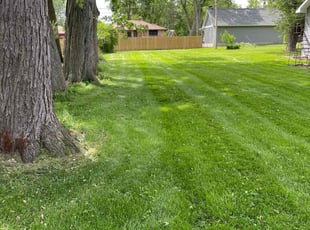 Dave W.'s Lawn Care service result