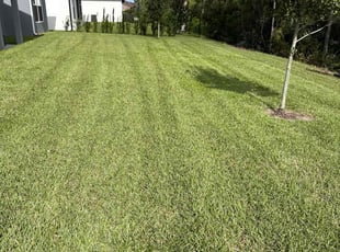 Ian s.'s Lawn Mowing service result